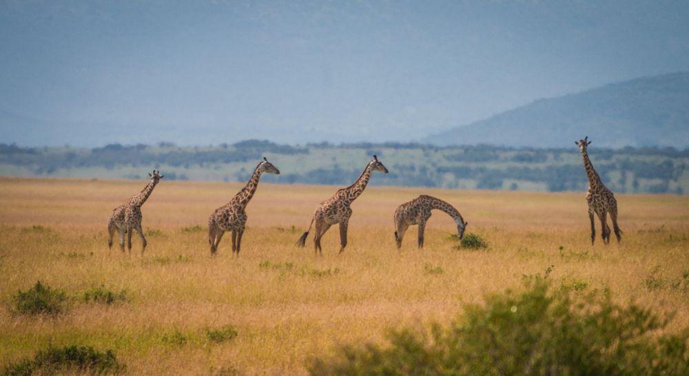 Photograph by Gimantha Perera