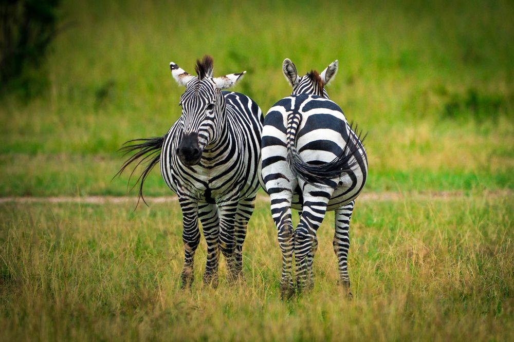 Photograph by Gimantha Perera