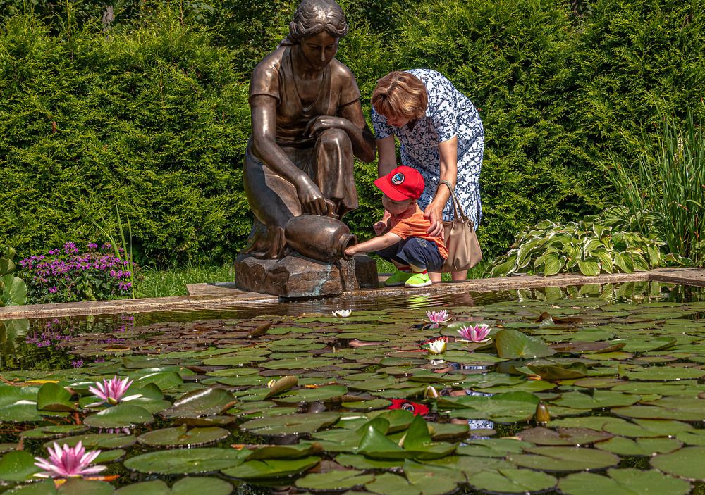 Photograph by Vladimir  Komarov