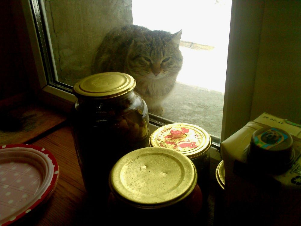 Photograph by Наталья Анисимова