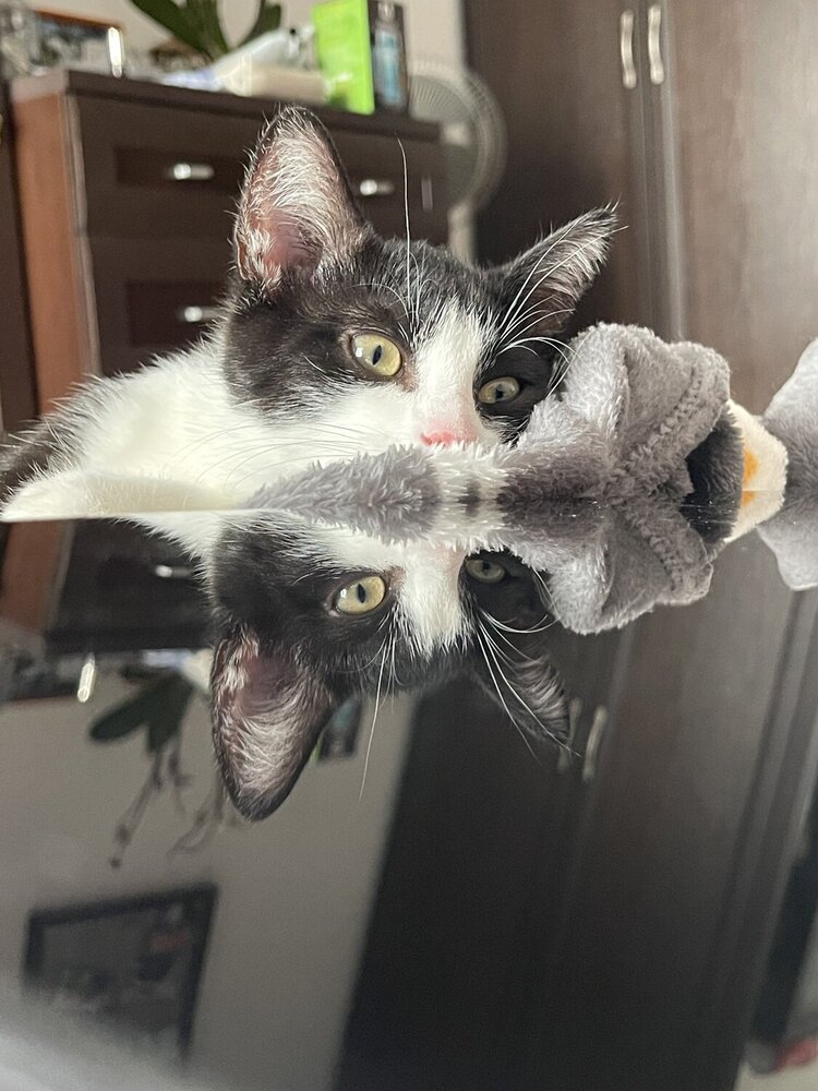 Photograph by Марина Салова