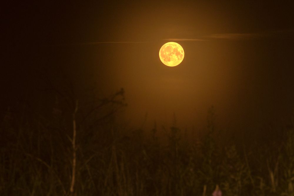 Photograph by федотов Алексей