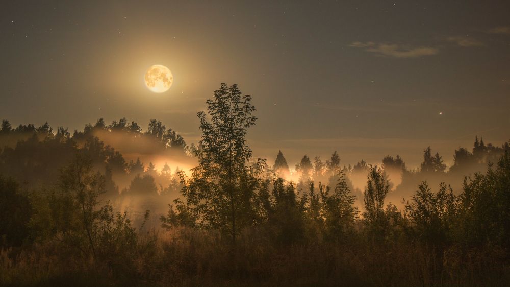 Photograph by Victoria Popkova