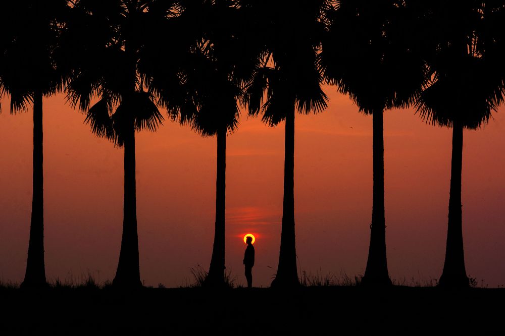 Photograph by MD. Imon