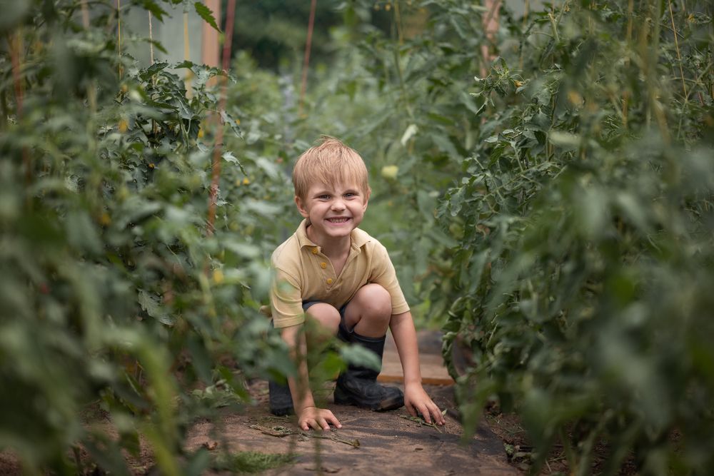 Photograph by Дарья Кончакова