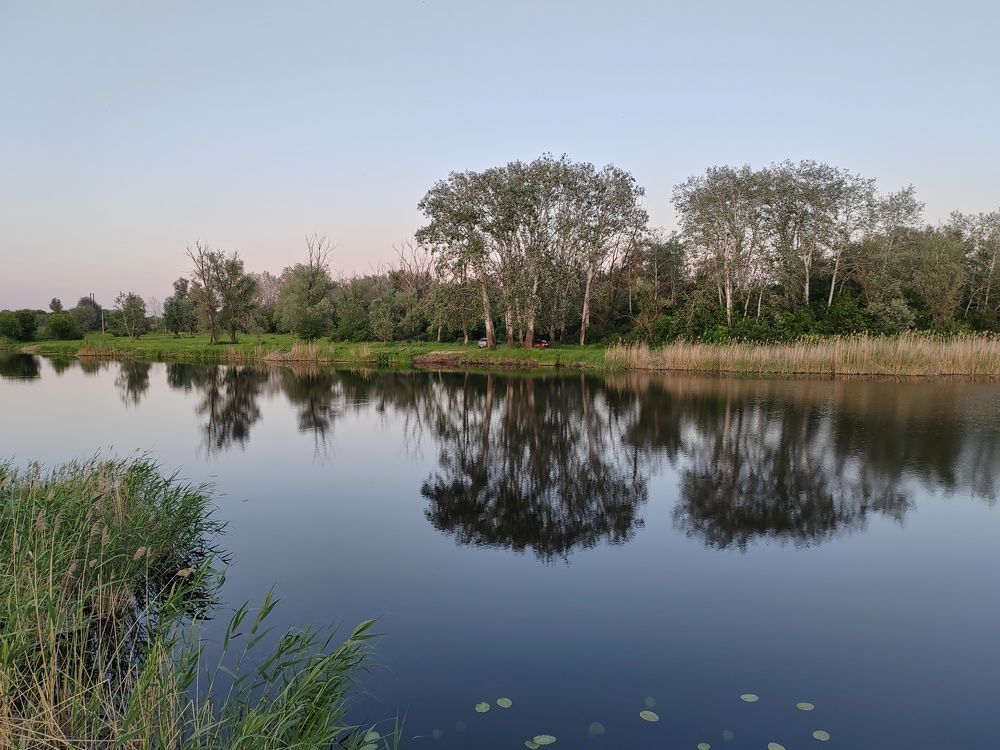 Photograph by Анастасия Проскурнова