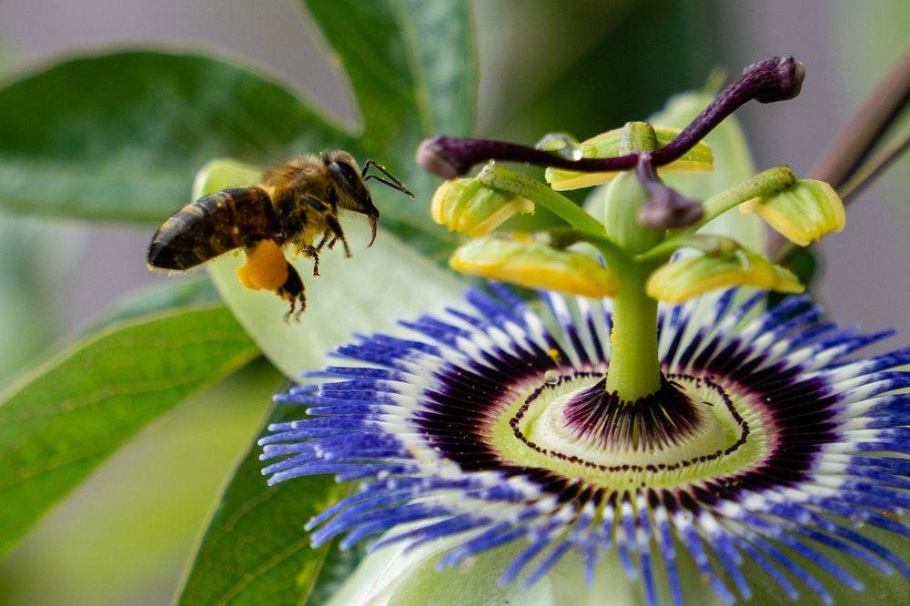 Photograph by Дмитрий Цикин