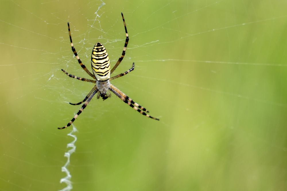 Photograph by Дмитрий Цикин