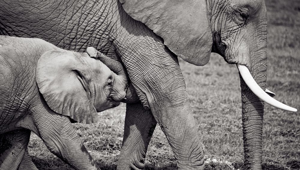 Мама подожди