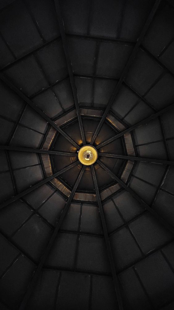 Photograph by Nikita Zander