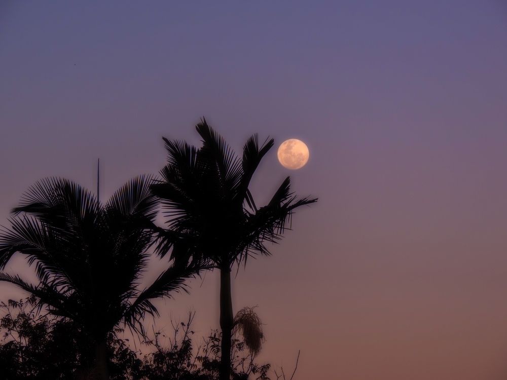 Photograph by Meire Costa