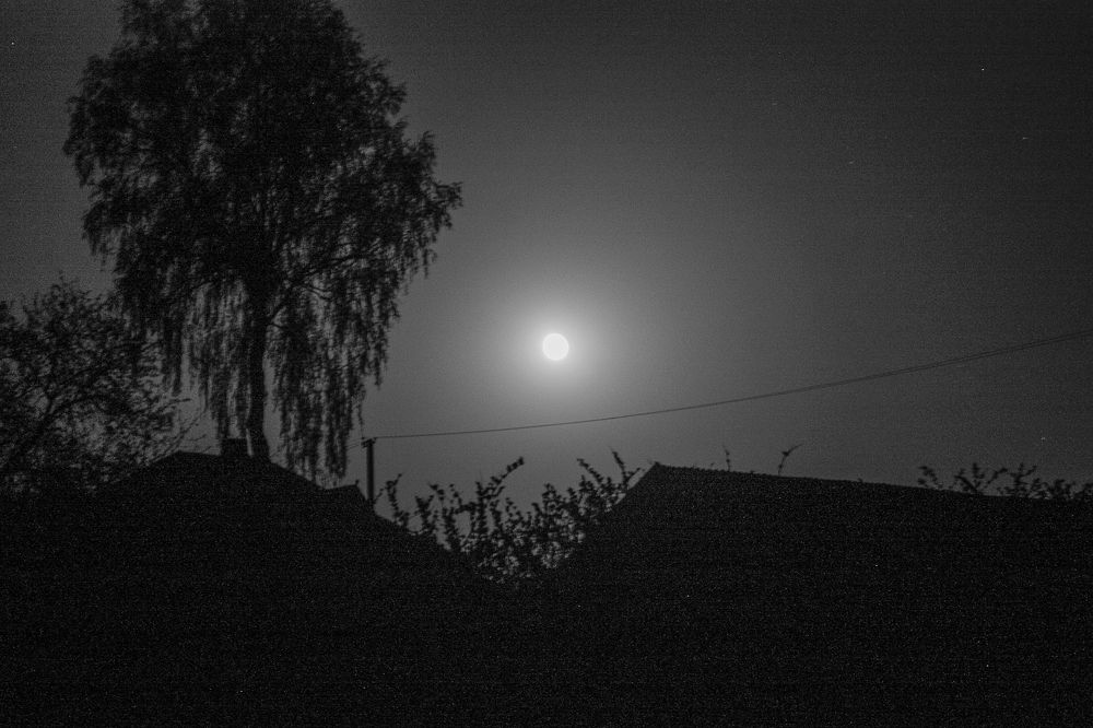 Photograph by Елена Шахова