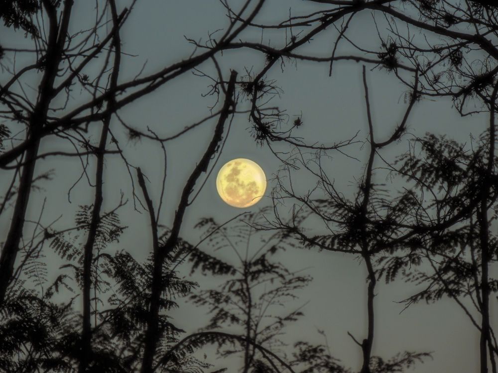 Photograph by Meire Costa