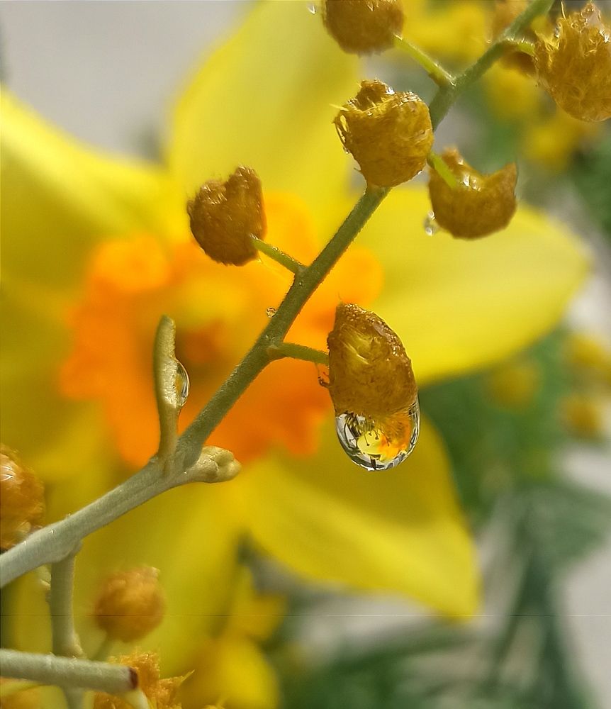 Photograph by Ольга Тихонова