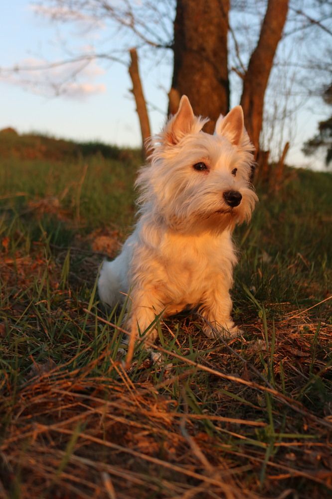 Photograph by Алексей Резниченко