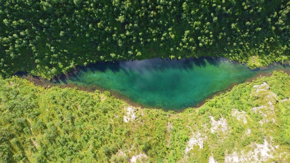 Photograph by Алексей Резниченко