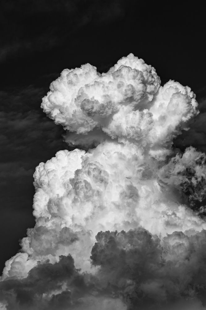 Photograph by Полина Самойлова