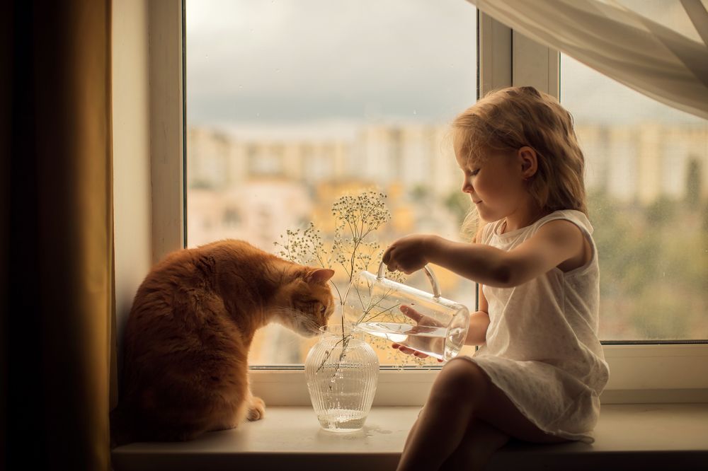 Photograph by Полина Коткина