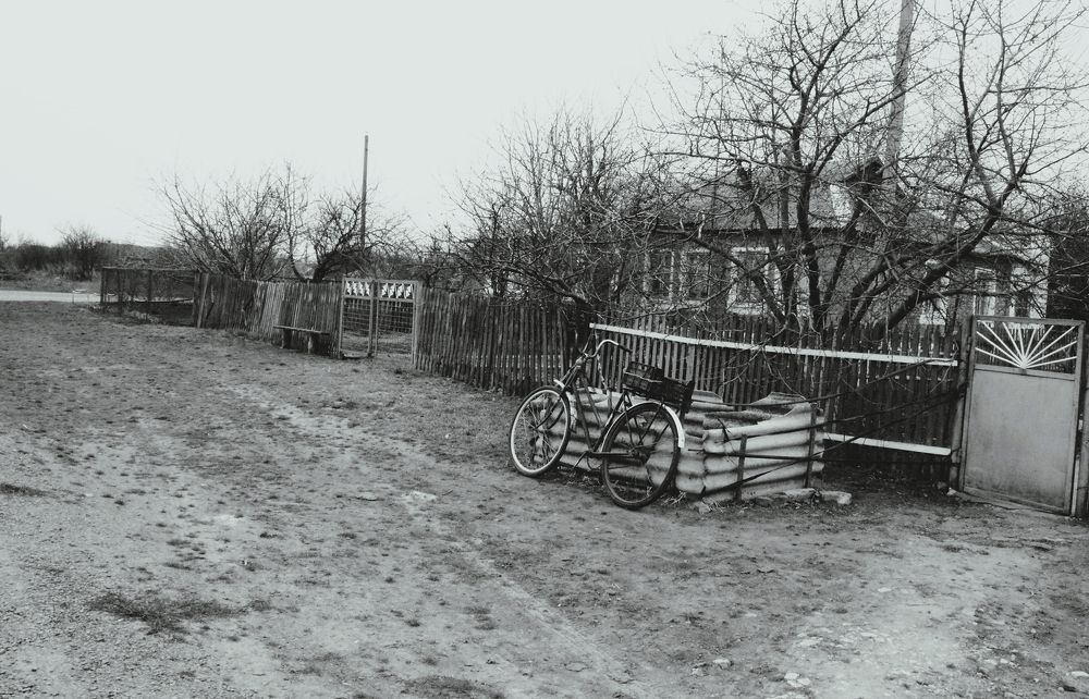 Photograph by Дмитрий Шумский