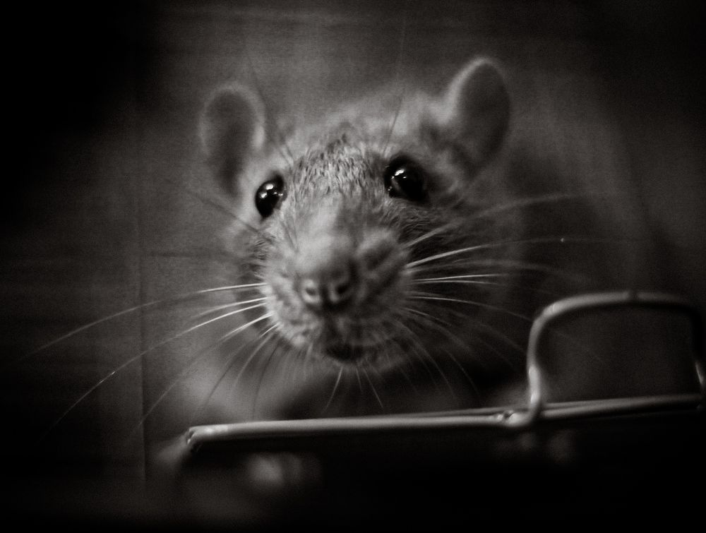 Photograph by МАРИНА