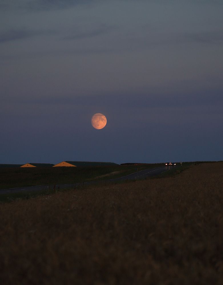 Photograph by Наталья Гусева