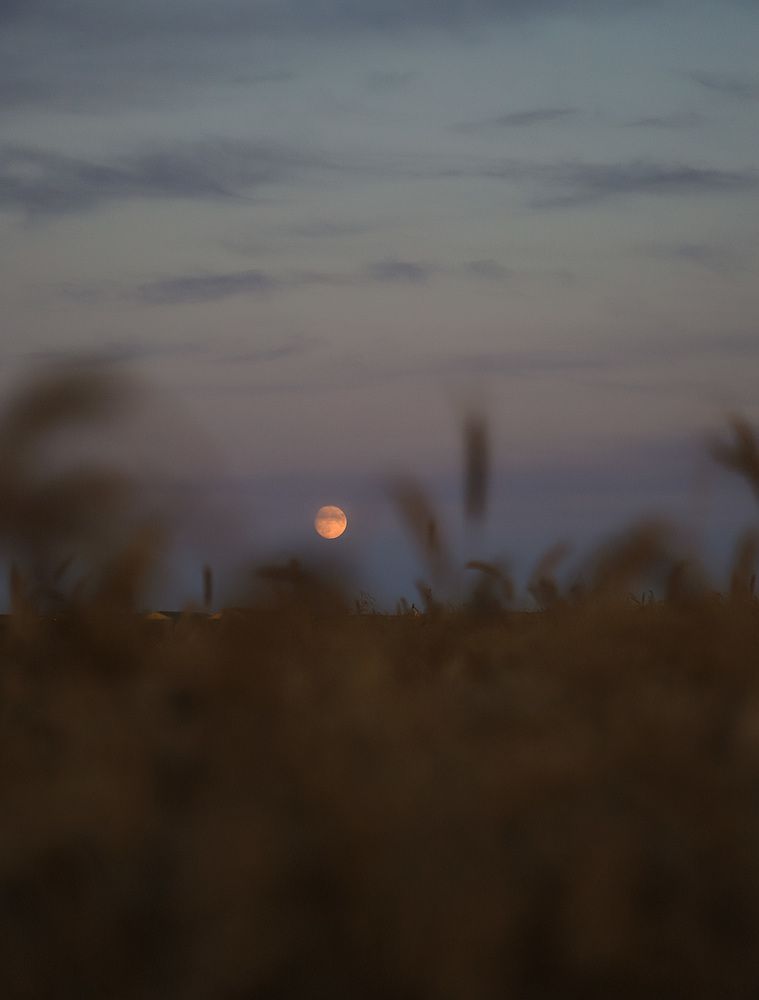 Photograph by Наталья Гусева