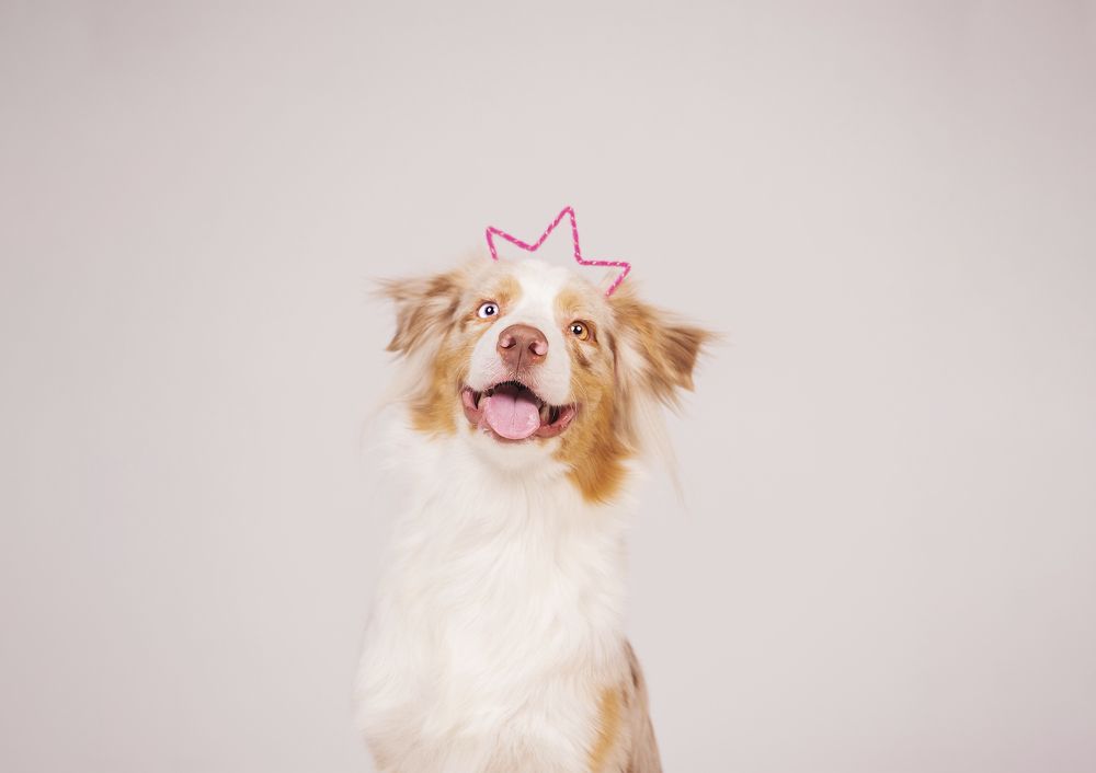 Фотография автора Юлия Бец