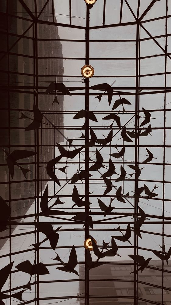 Photograph by Vero Manrique