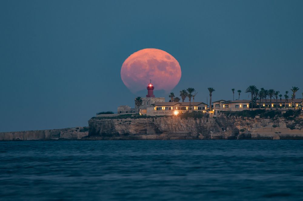 Photograph by Massimo Tamajo