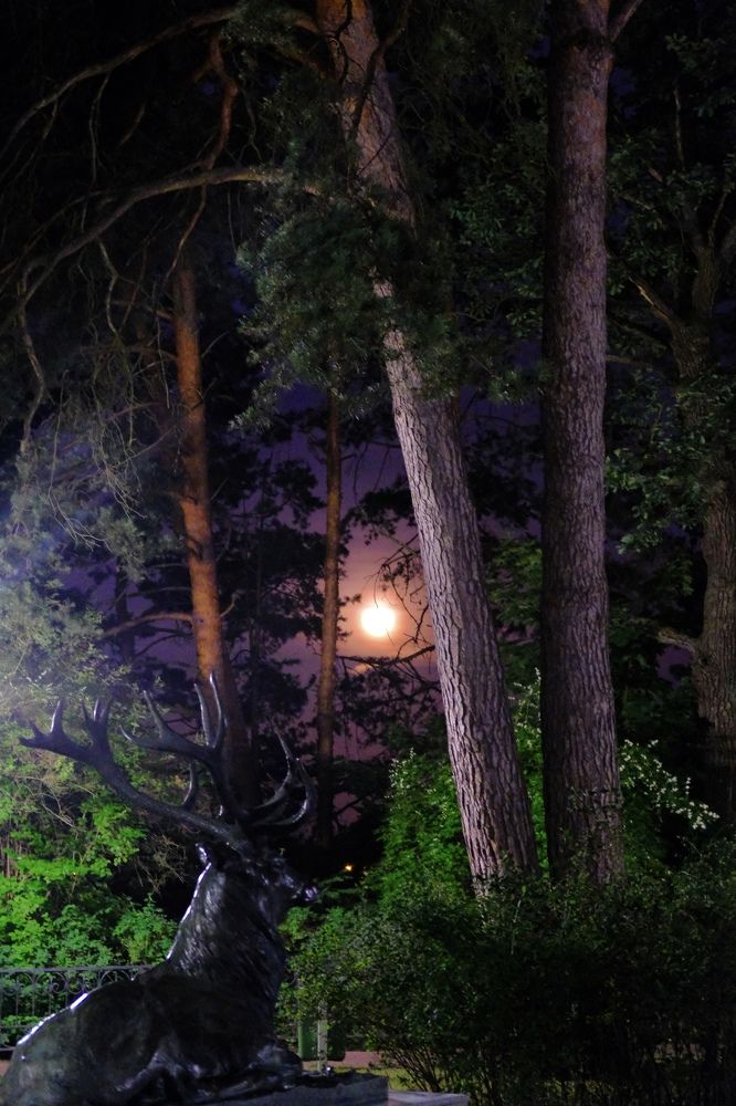 Photograph by Марина Душевина