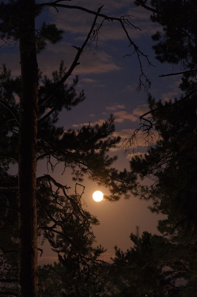 Photograph by Марина Душевина