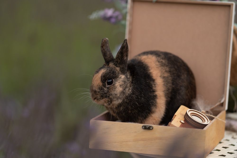 Photograph by Виктория Кузнецова