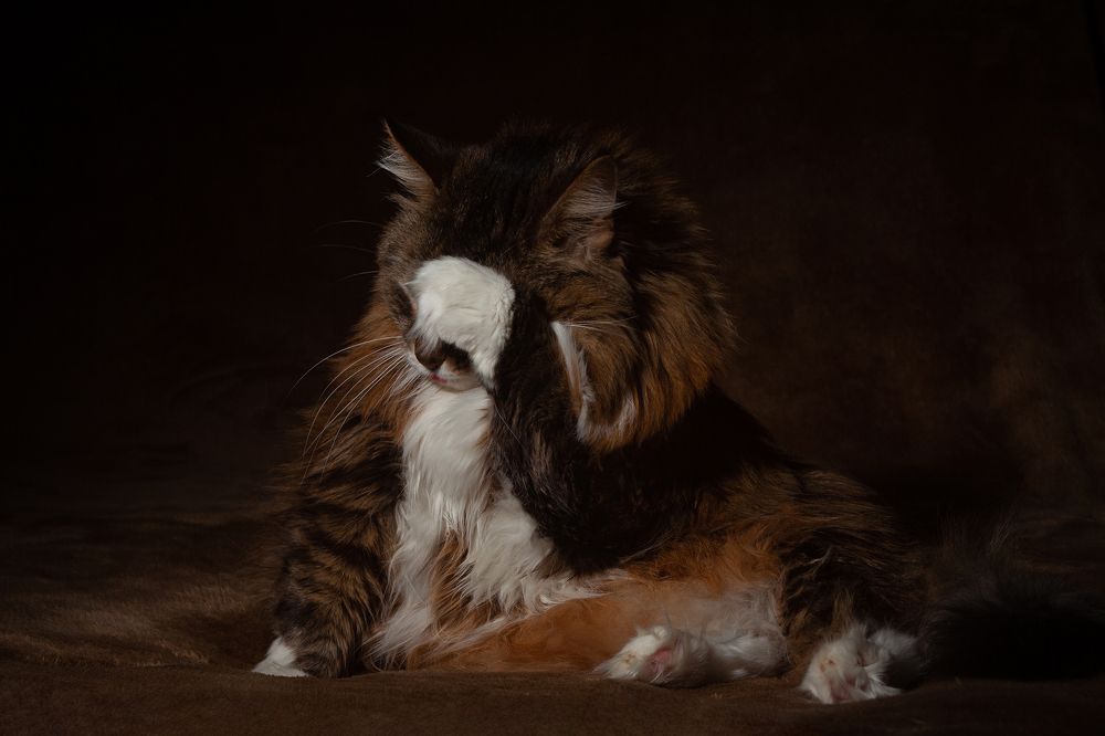 Photograph by Vladimir Buyanov