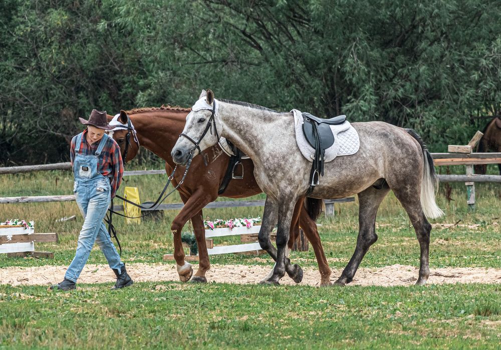 Photograph by Irina Luidinshina