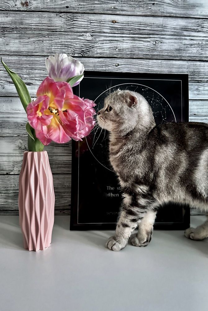 Photograph by Лазарева Анна Игоревна