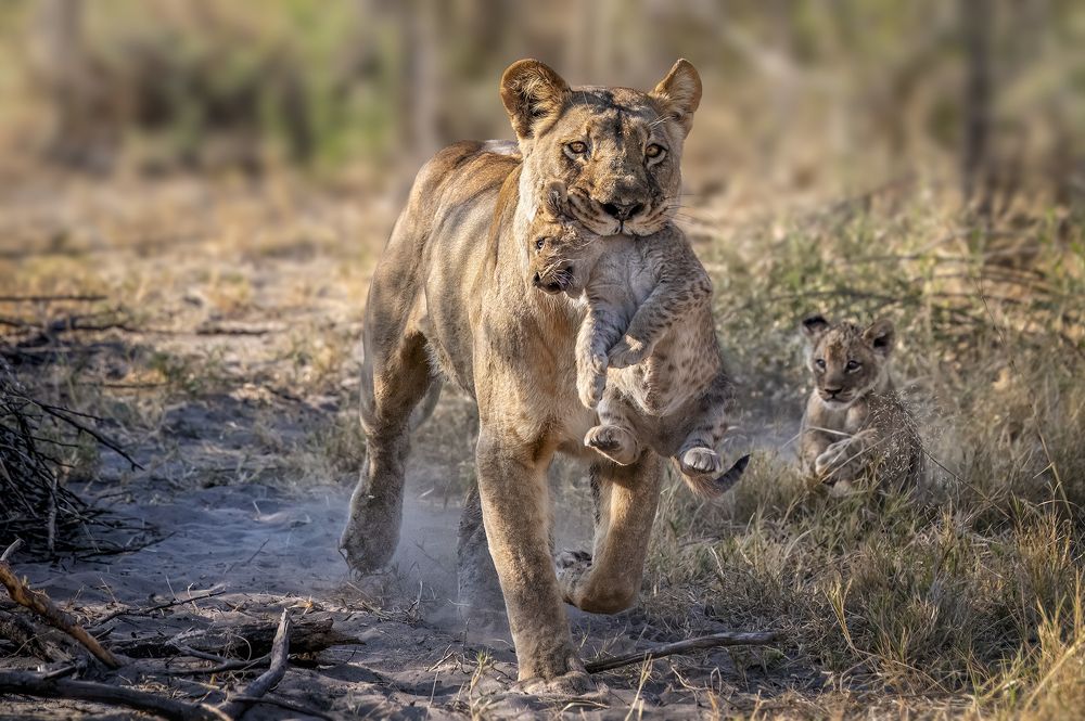 BACK TO THE HIDING PLACE