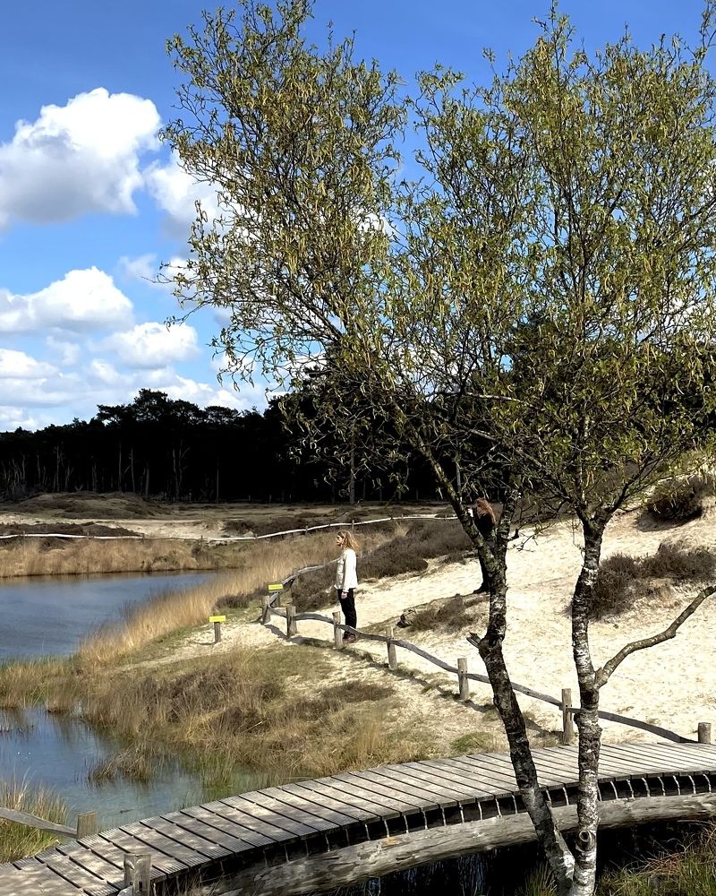 Photograph by Svetlana Kornilova