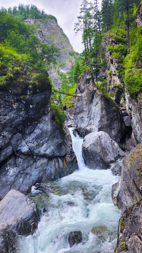 Photograph by Speed Girl