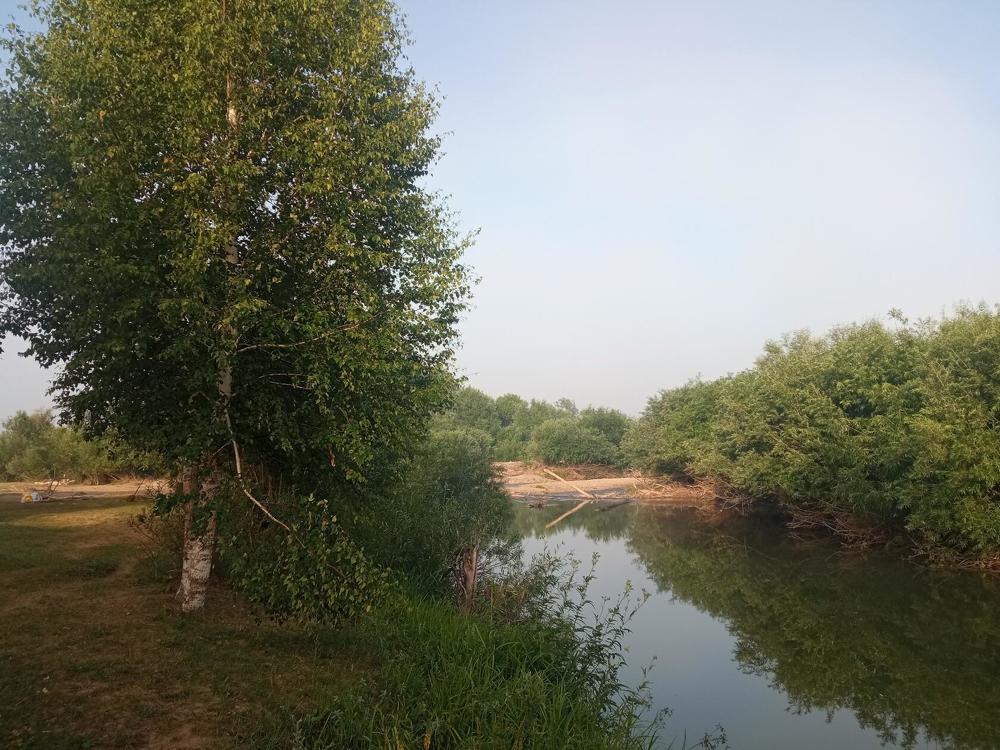 Фотография автора Ирина