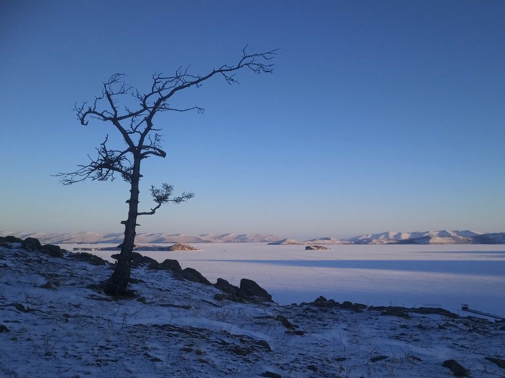 Photograph by Светлана Рухманова