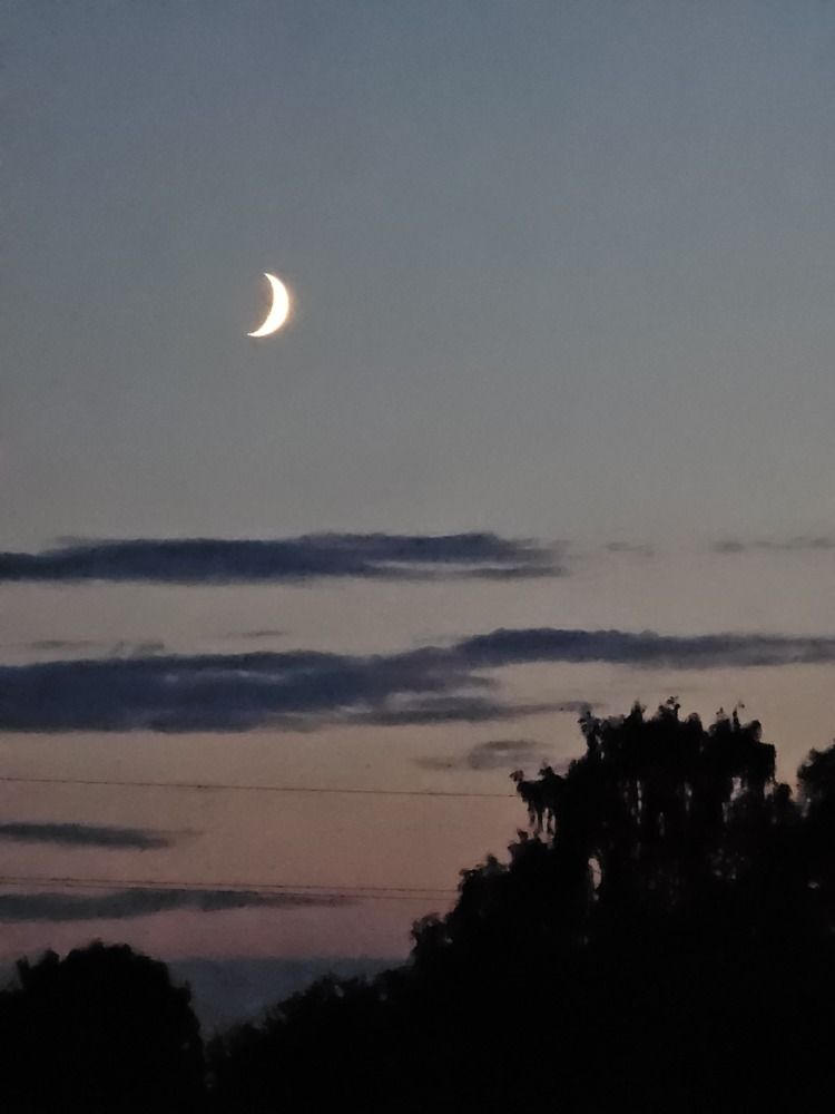 Photograph by Елена Ямнюк