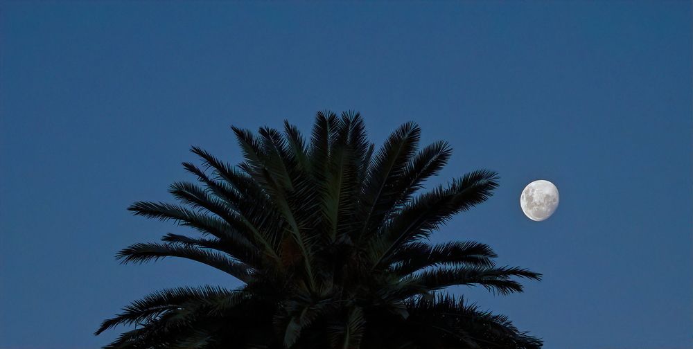 Photograph by Marcelo Luzzi