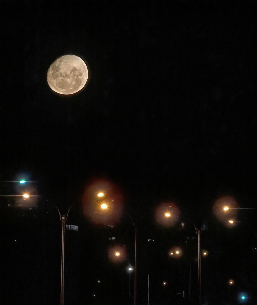 Photograph by Marcelo Luzzi