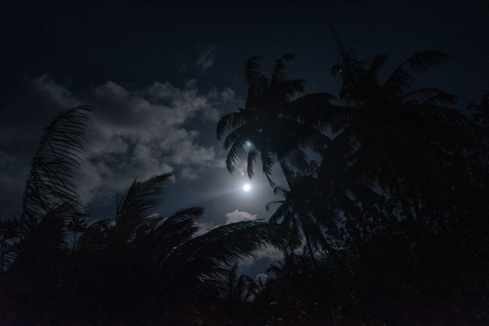 Photograph by Анастасия Суравикина