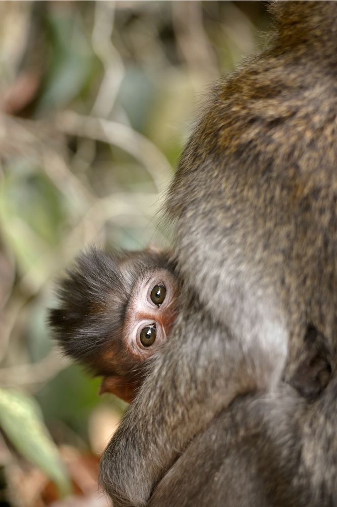 Photograph by Анастасия Суравикина
