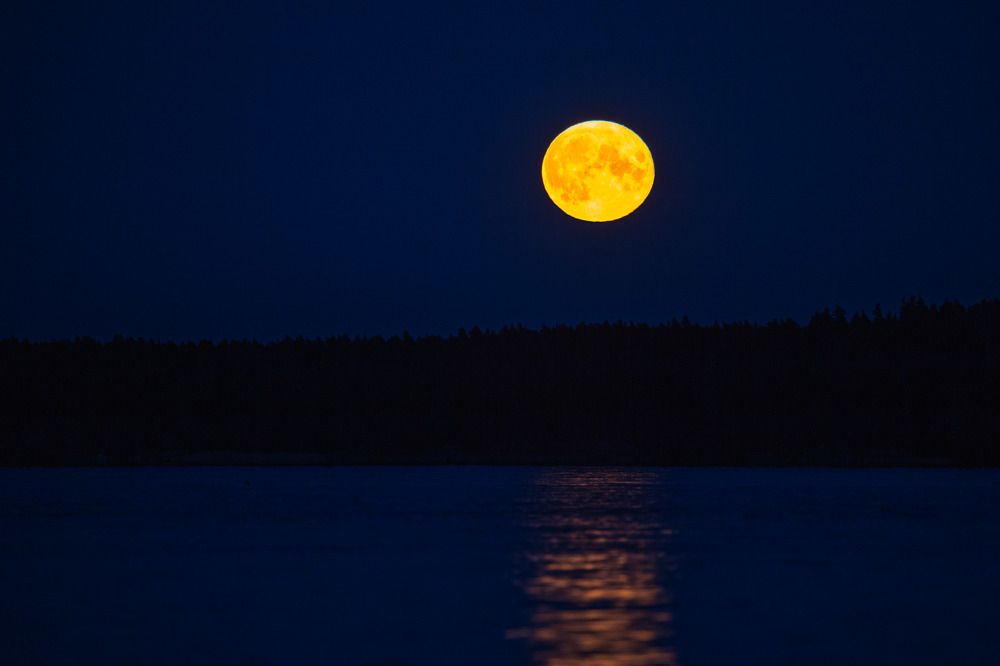 Photograph by Татьяна Кормашова