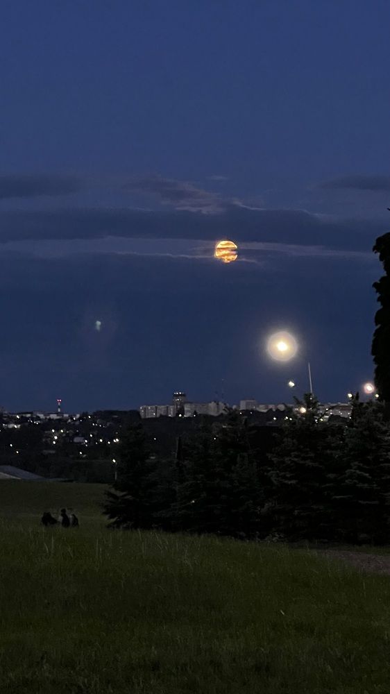 Фотография автора Юлия Недосекина