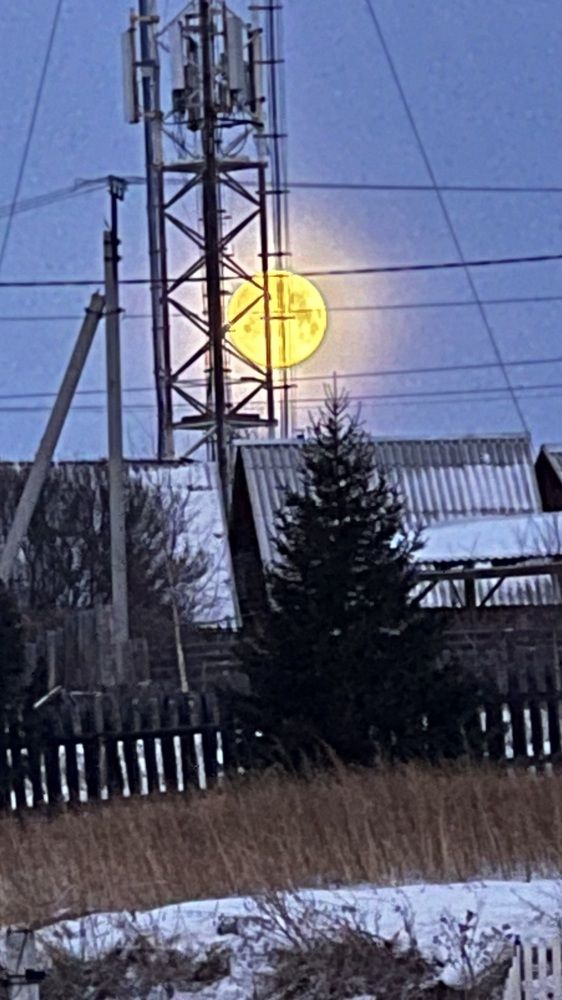 Фотография автора Юлия Недосекина