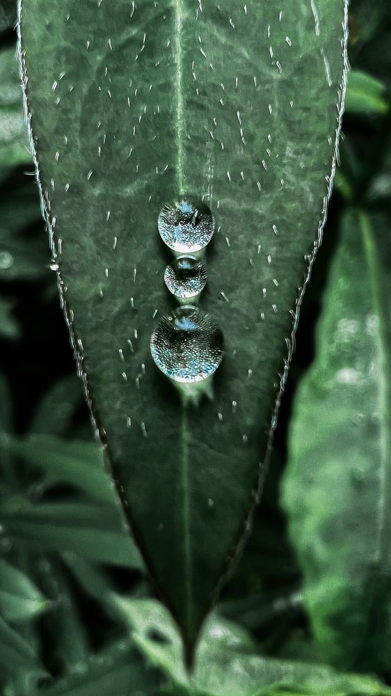 Фотография автора Юлия Недосекина