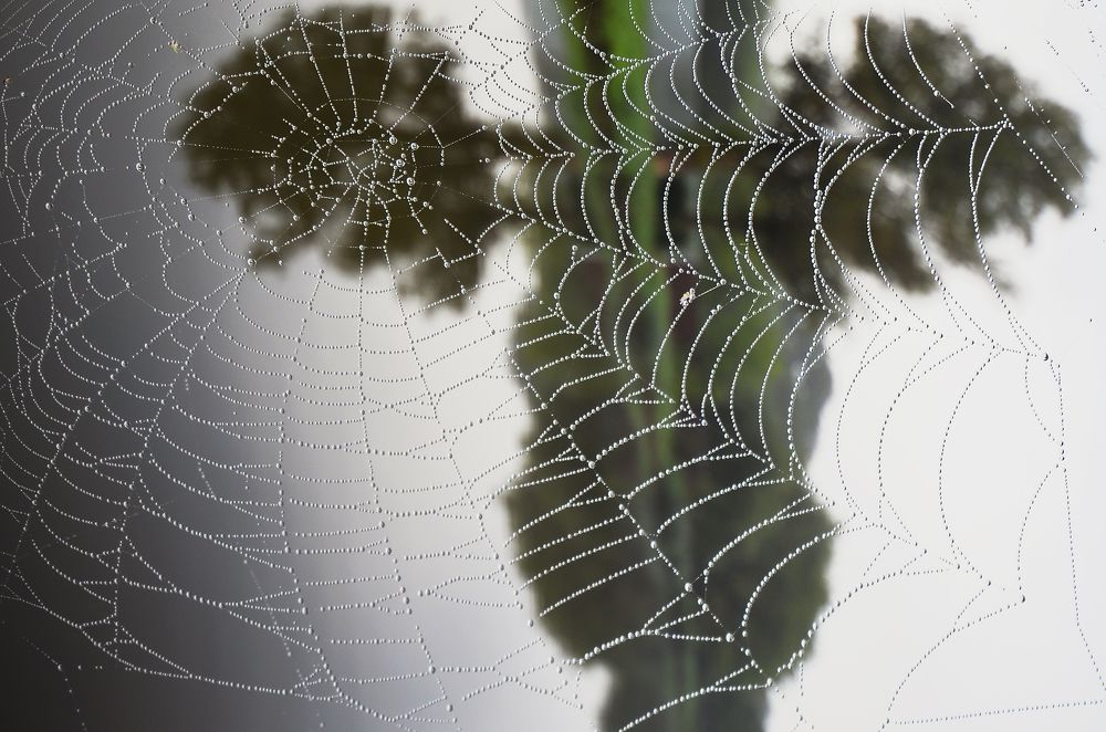 Фотография автора Антип